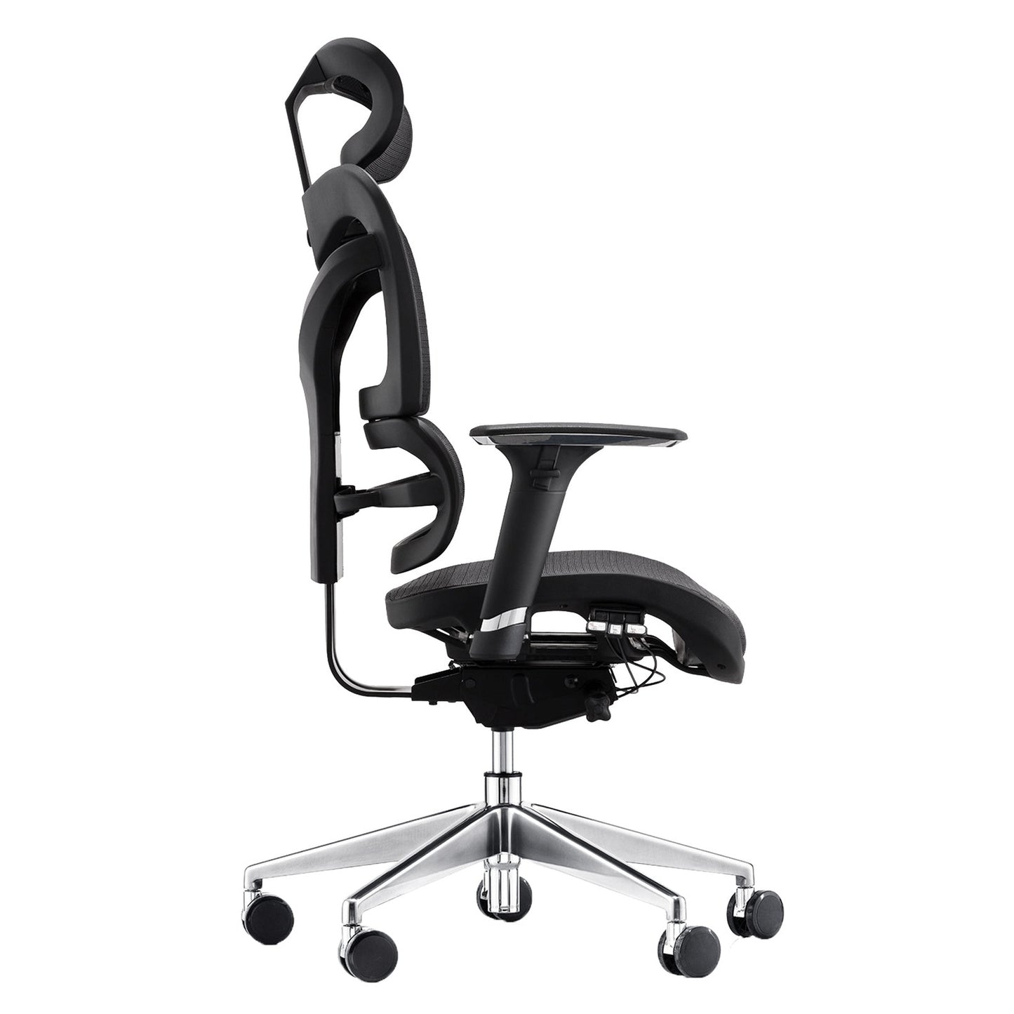 Dorsum Executive Task Chair - Bumsonseats
