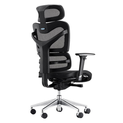 Dorsum Executive Task Chair - Bumsonseats