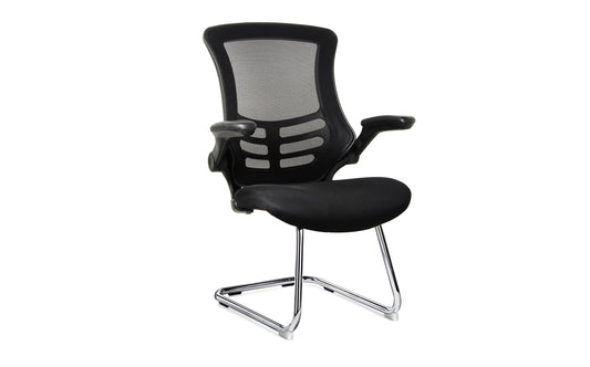 MESH-VIS Meeting Chair/ Visitor Chair