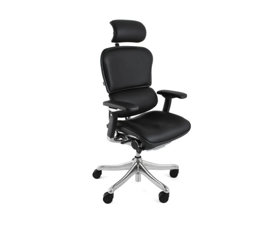 Ergohuman Plus Luxury Ergonomic Office Chair with Headrest in Black Mesh or Leather