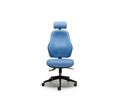 OC117 - ORTHOPAEDICA 100 SERIES - No Arms - Independent Mechanism - Headrest