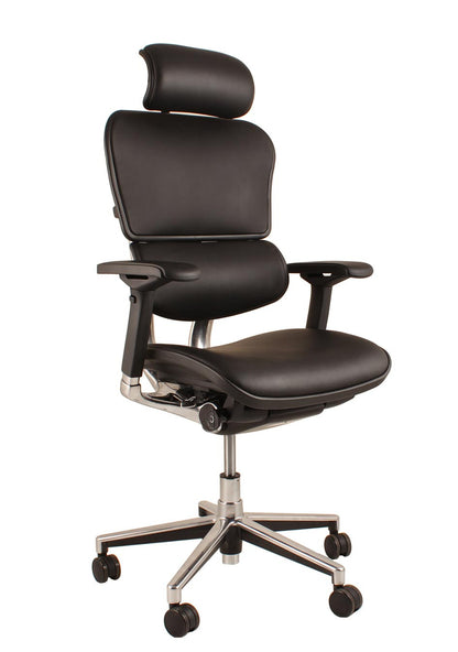 Ergohuman Plus Elite Ergonomic Mesh Chair in Black or Blue